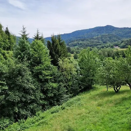 Gite 3 Etoiles Jusqu'a 12 Pers * Fresse-sur-Moselle