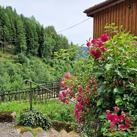 Apartment Gite 3 Etoiles Jusqu'a 12 Pers Fresse-sur-Moselle